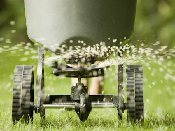 fertilize your lawn in fall