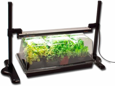 Mini Greenhouse Kit with stand