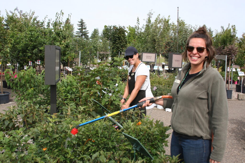 Employment Greenland Garden Centre