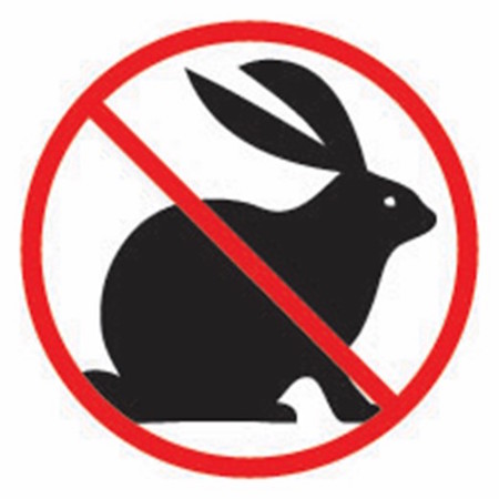 no rabbits
