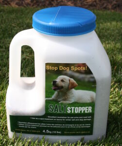 Salt Stopper dog damage repair