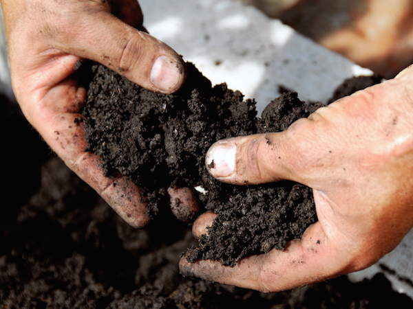 soils and amendments
