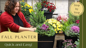 fall planter demonstration