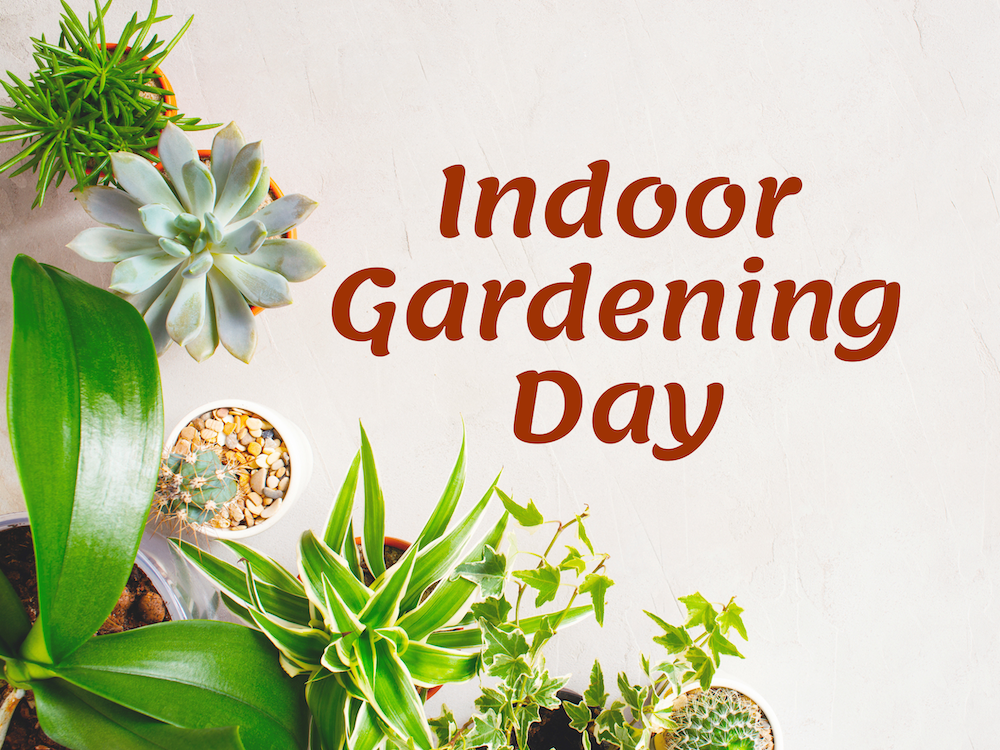 Indoor Gardening Day