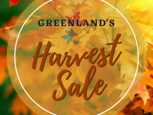 Harvest Sale at Greenland Garden Centre