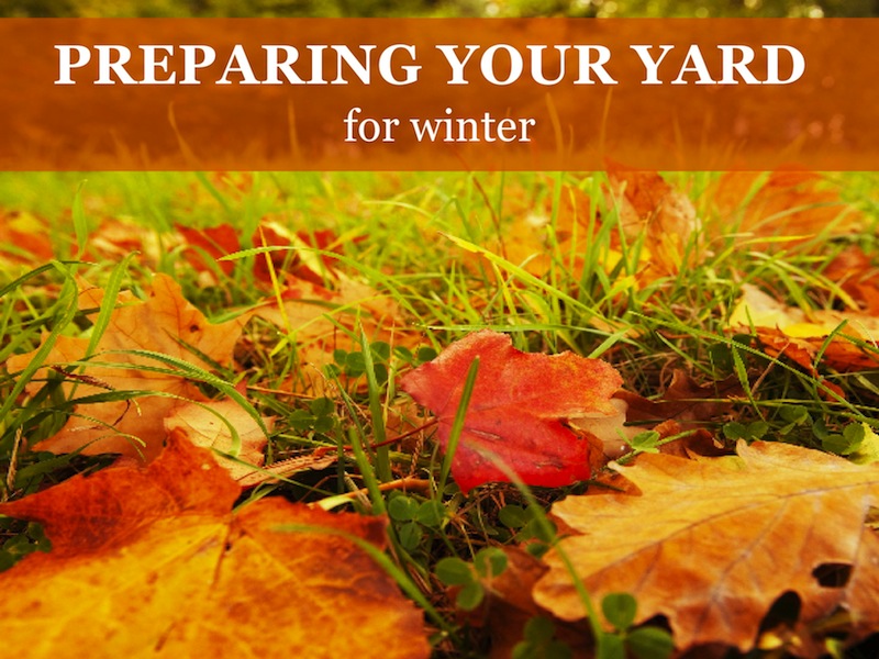 preparing yard for winter