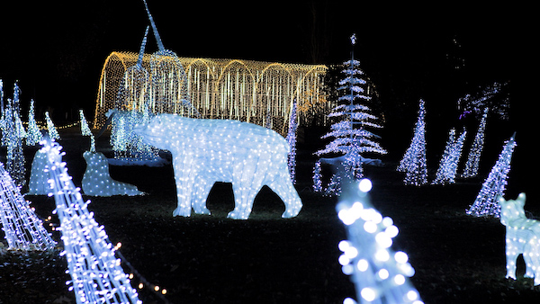 Lights in the Park at Greenland Garden Centre