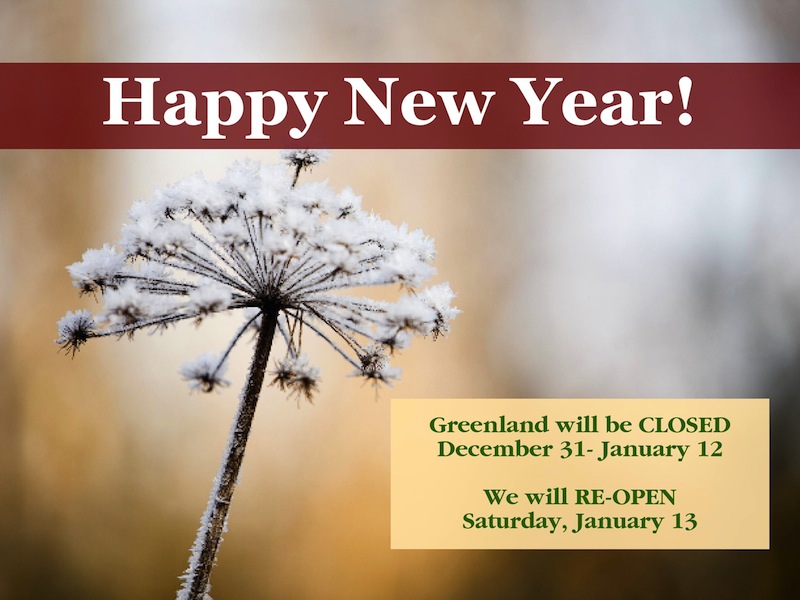 https://greenlandgarden.com/wp-content/uploads/2023/12/Happy-New-Year.jpg