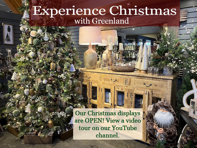 Experience Christmas at Greenland Garden Centre