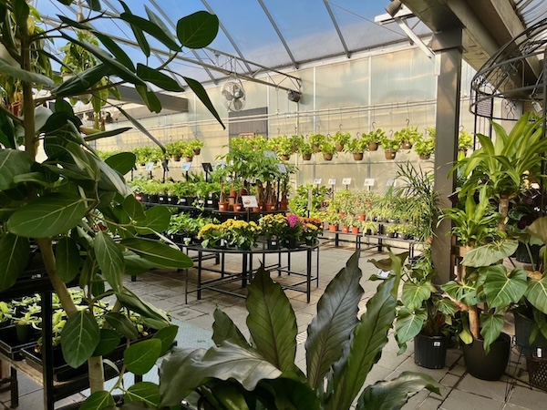 Tropical greenhouse at Greenland Garden Centre