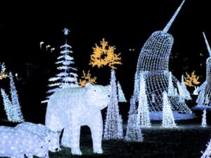 Lights in the Park at Greenland Garden Centre